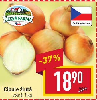 Billa Cibule žlutá nabídka