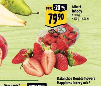 Albert Jahody nabídka