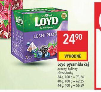Globus Loyd čaj nabídka
