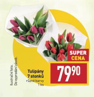 Billa Tulipány nabídka