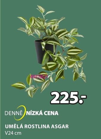 JYSK UMĚLÁ ROSTLINA ASGAR nabídka