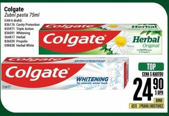 Tamda Foods Colgate Zubní pasta 75ml nabídka