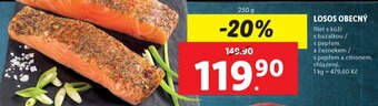 Lidl LOSOS OBECNÝ nabídka