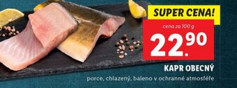 Lidl KAPR OBECNÝ nabídka