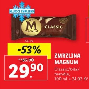 Lidl ZMRZLINA MAGNUM nabídka
