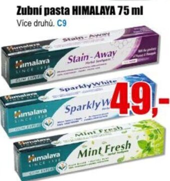 Zubní pasta HIMALAYA 75 ml