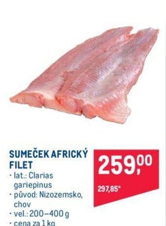 Makro SUMEČEK AFRICKÝ FILET nabídka