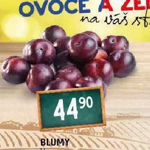 Terno Blumy nabídka