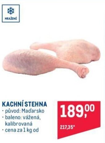 Makro KACHNÍ STEHNA nabídka