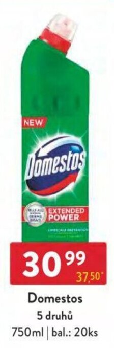 Qanto Domestos 5 druhů nabídka