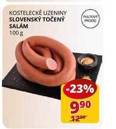 Flop Slovenský točený salám 100 g nabídka
