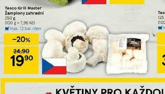 Tesco Žampiony zahradní nabídka