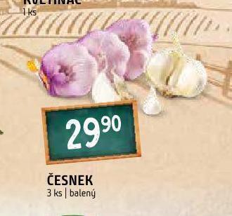 Terno Česnek nabídka