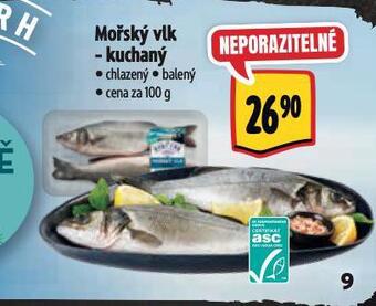 Albert Mořský vlk nabídka