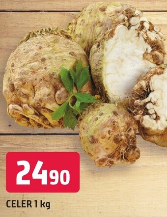 Trefa CELER 1 kg nabídka