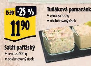 Albert Salát pařížský nabídka