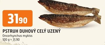 Trefa PSTRUH DUHOVÝ CELÝ UZENÝ nabídka