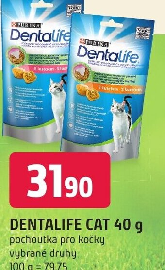 Trefa DENTALIFE CAT 40 g nabídka