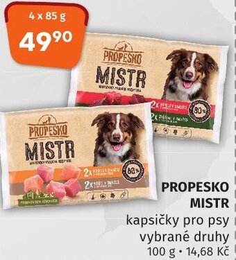 Trefa PROPESKO MISTR nabídka