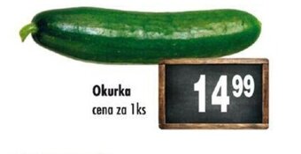 Qanto Okurka cena za 1ks nabídka