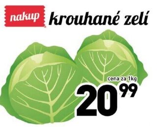Qanto Krouhané zelí nabídka