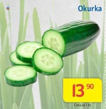 Kubík potraviny Okurka nabídka