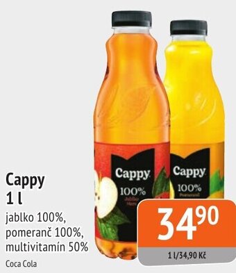 Coop hb Cappy 1L nabídka