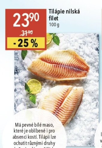 Globus Tilápie nilská filet 100 g nabídka