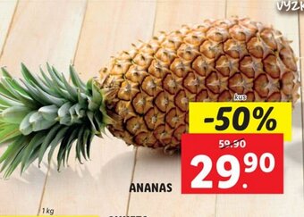 Lidl ANANAS nabídka