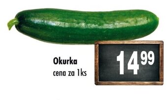 Qanto Okurka nabídka