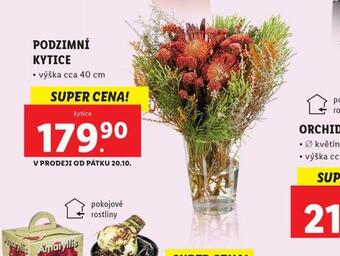 Lidl Podzimní kytice nabídka