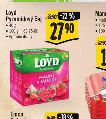 Jip Loyd pyramidový čaj nabídka
