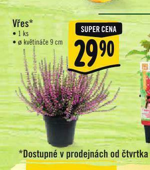 Vřes