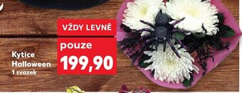Kaufland Kytice Halloween nabídka