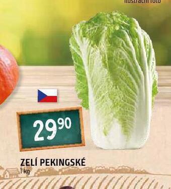 Terno Zelí pekingské nabídka