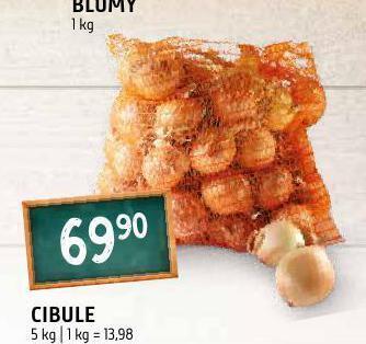 Terno Cibule nabídka