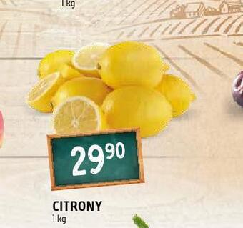 Terno Citrony nabídka
