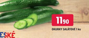Trefa OKURKY SALÁTOVÉ 1 ks nabídka