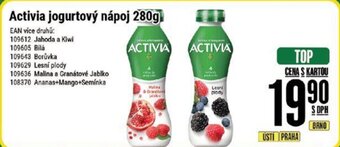 Tamda Foods Activia jogurtový nápoj 280g nabídka