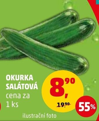 Penny Market OKURKA SALÁTOVÁ nabídka