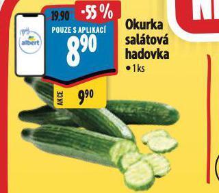 Albert Okurka salátová hadovka nabídka