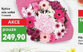 Kaufland Kytice mix velká nabídka