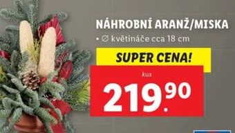 Lidl NÁHROBNÍ ARANŽ/MISKA nabídka