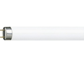 Hornbach Zářivka philips g13 36w 3350lm 4000k nabídka