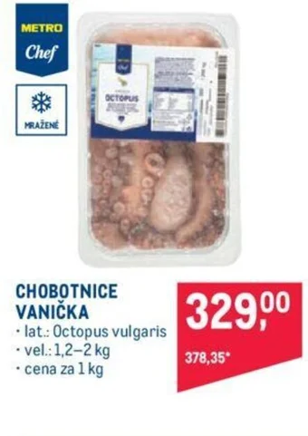 Makro CHOBOTNICE VANIČKA nabídka