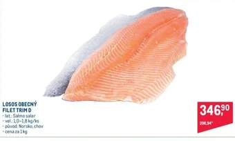 Makro LOSOS OBECNÝ FILET TRIM D nabídka