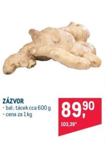 Makro ZÁZVOR nabídka