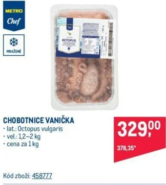 Makro CHOBOTNICE VANIČKA nabídka