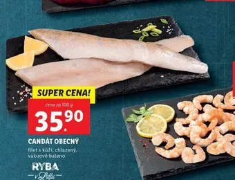 Lidl Candát obecný nabídka