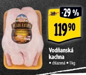 Albert Vodňanská kachna nabídka